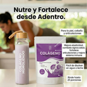 Colágeno Hidrolizado En Polvo Sabor Taro Bolsa Con 500 Gr. 25 Servs