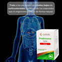 Prednisona 5 Mg 8 Frascos Con 20 Tabletas C/u Avivia