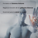 Zinc Bdm Lab Pack Con 180 Capsulas  Sin Sabor
